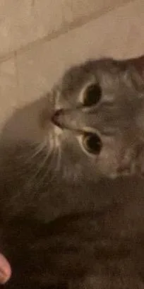 Mama Easter thumbnail 2