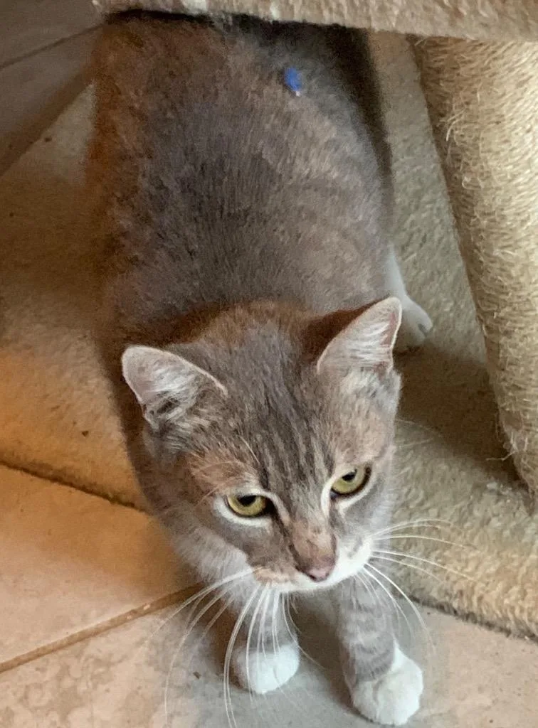 Mama Easter thumbnail 3