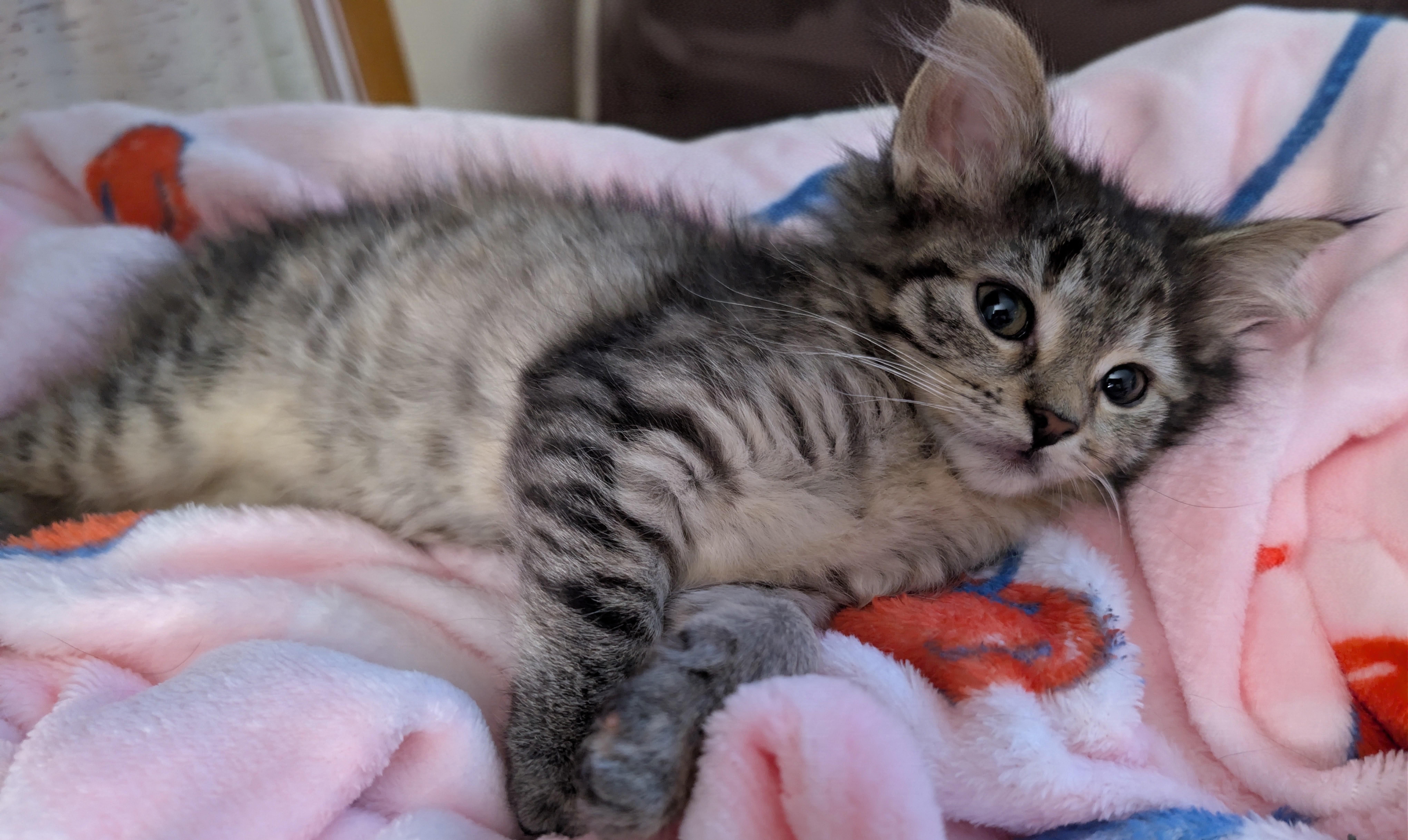 Alana thumbnail 3