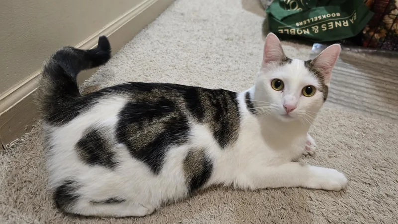 Hazel And Lucky thumbnail 4