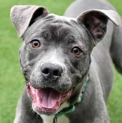 Jackie Frost thumbnail 2