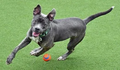 Jackie Frost thumbnail 3