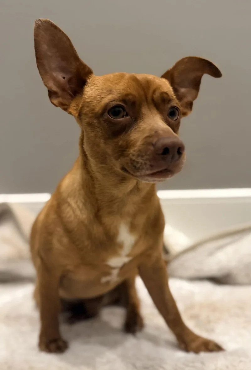 John Wayne thumbnail 3