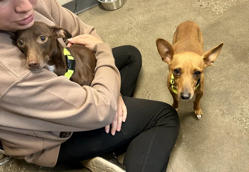 Bailey & Kahlua  thumbnail 2