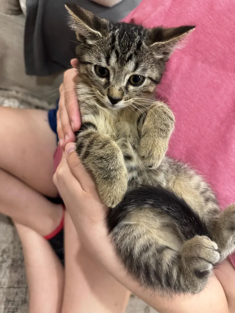 Oliver