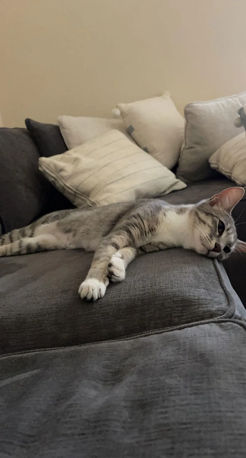 Bonded Pair: Ferguson And