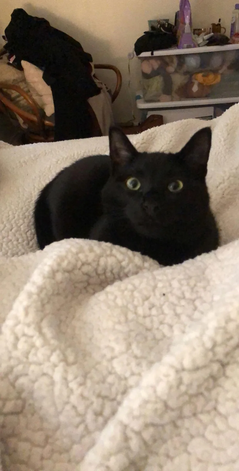 Bonded Pair: Ferguson And thumbnail 2