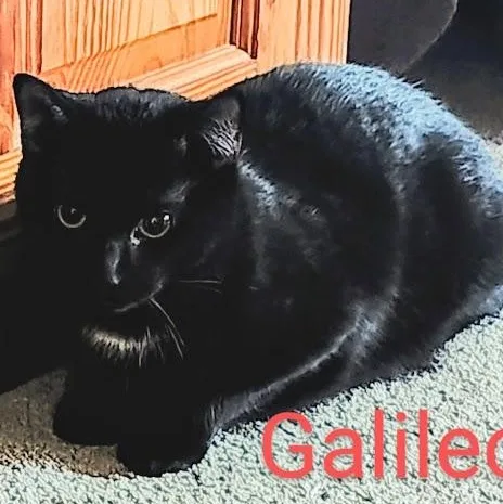 Galileo thumbnail 2