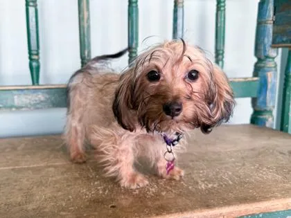 Matilda