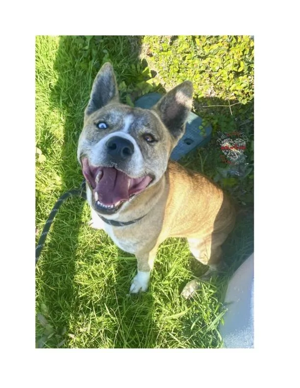 Hercules thumbnail 4