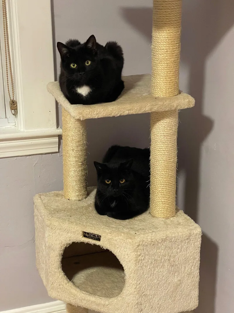 Bari And Gigi thumbnail 2