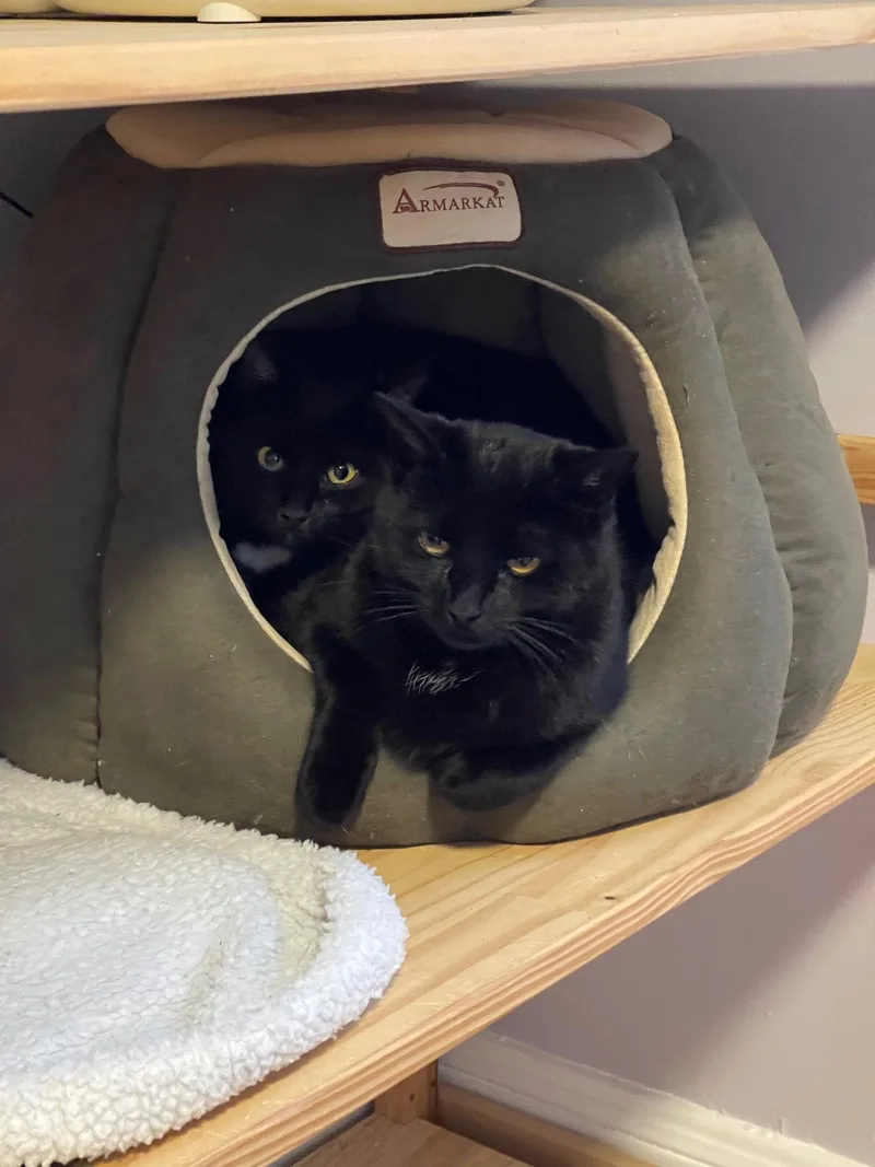 Bari And Gigi thumbnail 3