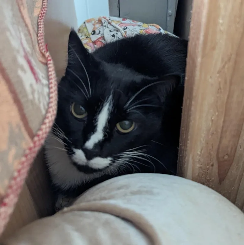 Rosie