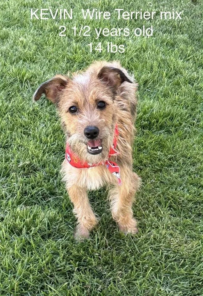 Kevin And Kanny thumbnail 4