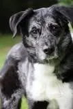 Freda thumbnail 2