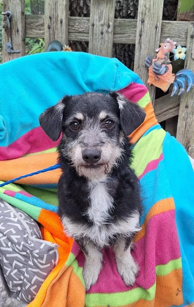 Evaldo Wat thumbnail 2