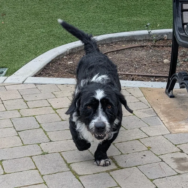 Pepper  City Of thumbnail 3