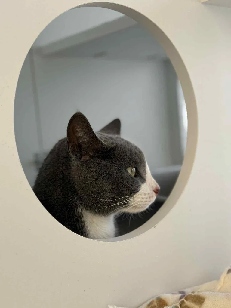 Little Bear thumbnail 2