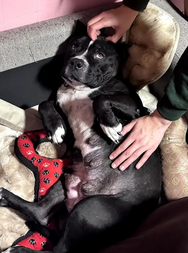 Lilybremerton  Wa thumbnail 2