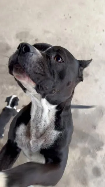 Lilybremerton  Wa thumbnail 3