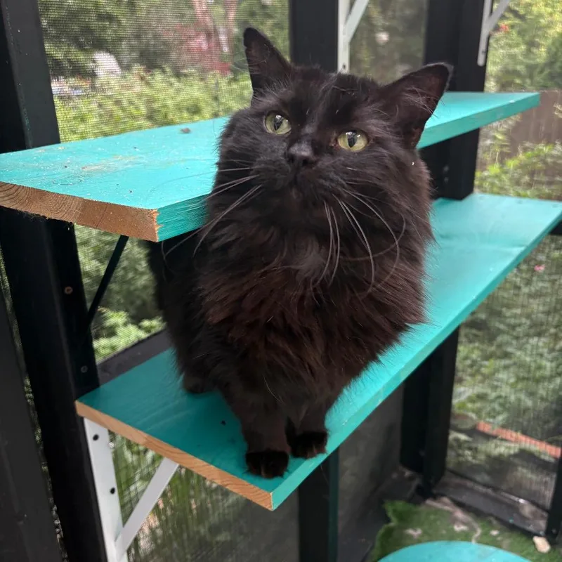 Fiona