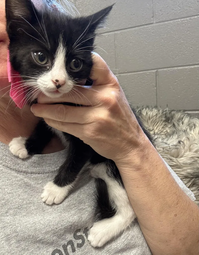 Sweet Bubbles thumbnail 4