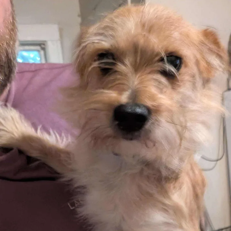 Bailey thumbnail 2