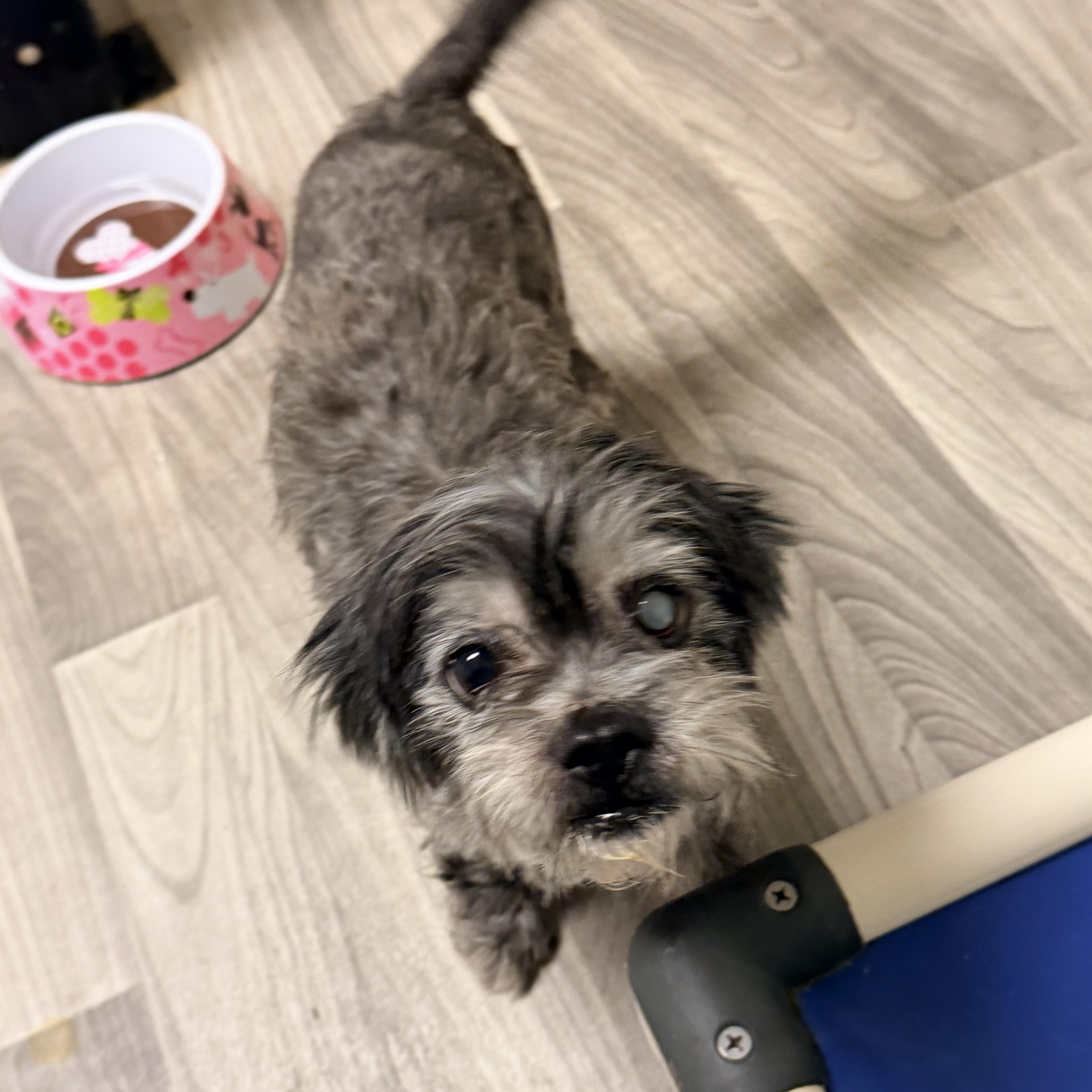 Ashley