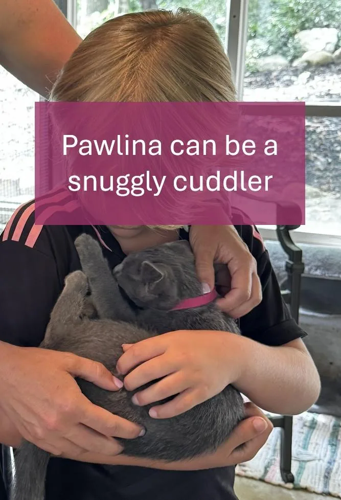 Pawlina thumbnail 2