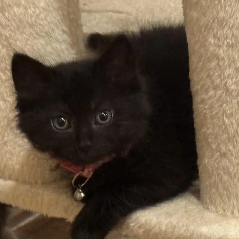Maddy thumbnail 3