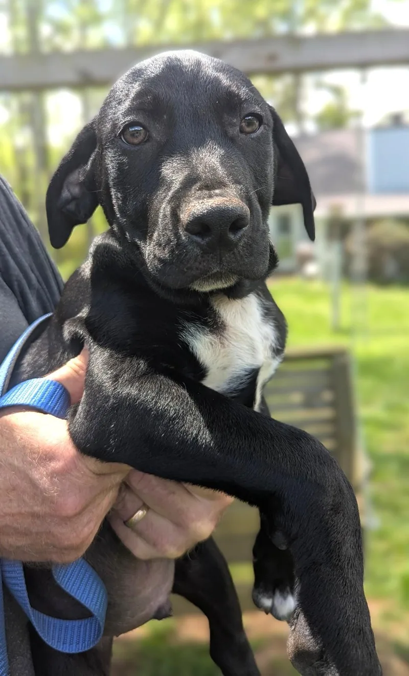 Tyler  Is From thumbnail 2