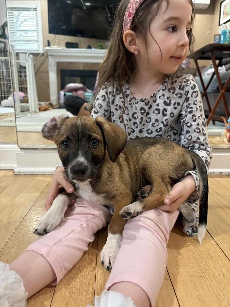 Charlie Brown thumbnail 5