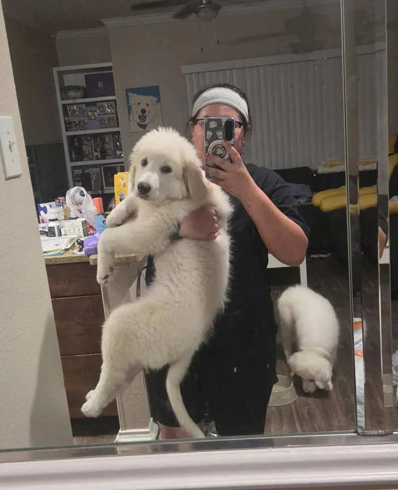 Aspen thumbnail 2