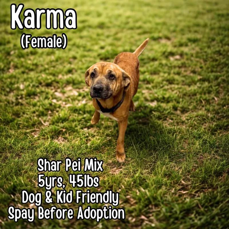 Karma