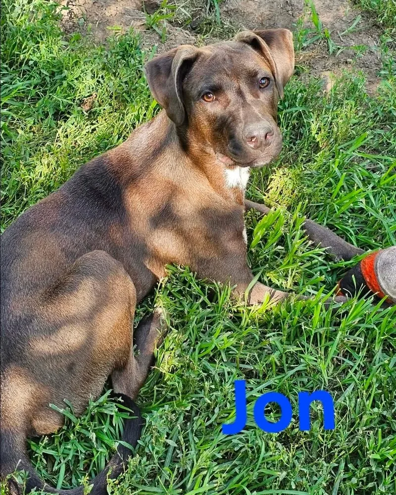 Jon