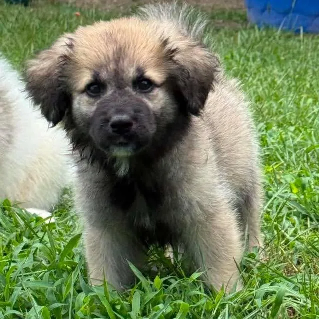 Winnie