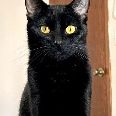 Salem