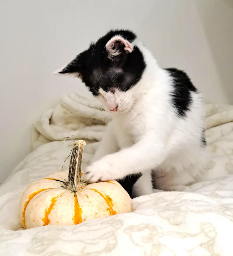 Wenkenbach thumbnail 2