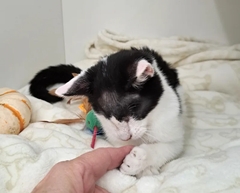 Wenkenbach thumbnail 3