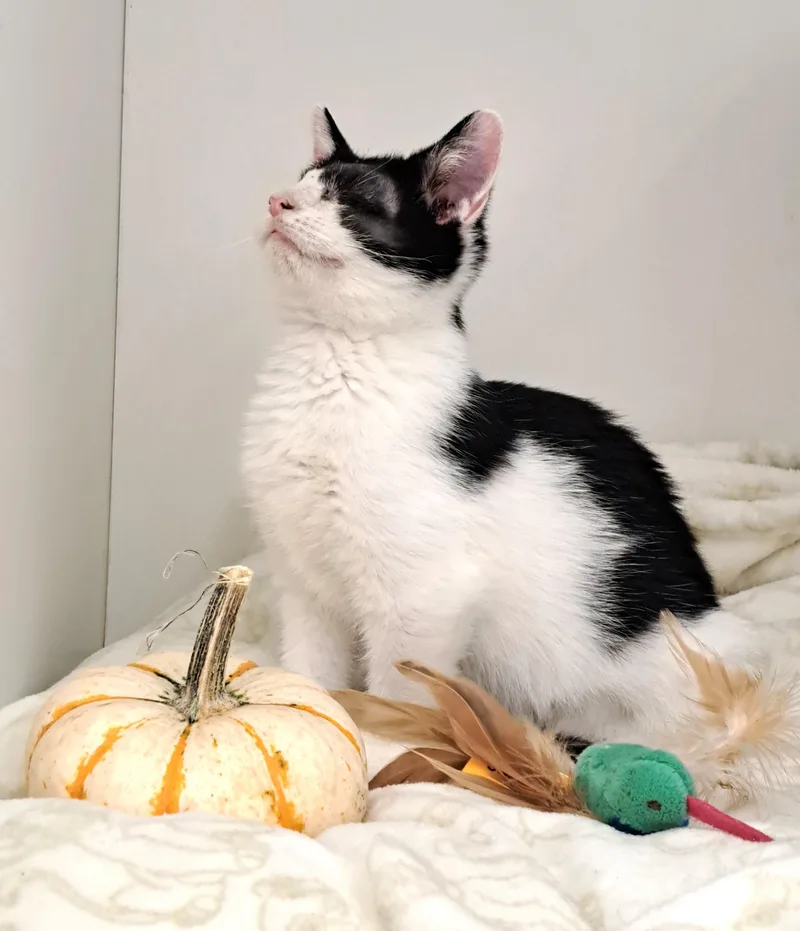 Wenkenbach thumbnail 4