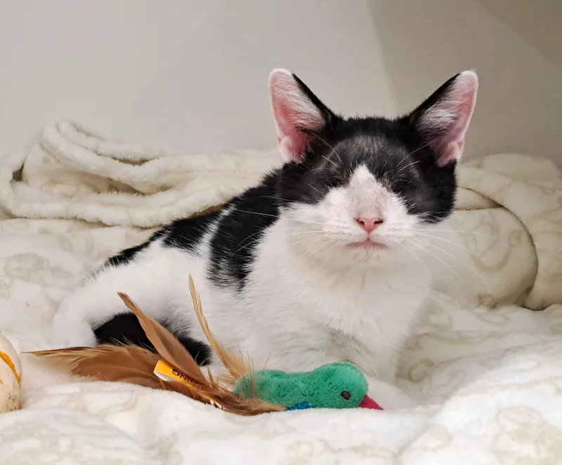 Wenkenbach thumbnail 5