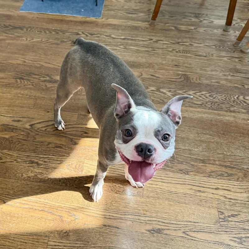 Luna in CO thumbnail 4
