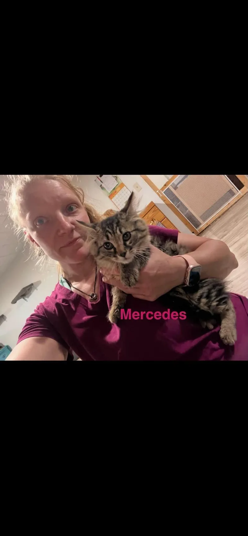Mercedes thumbnail 4