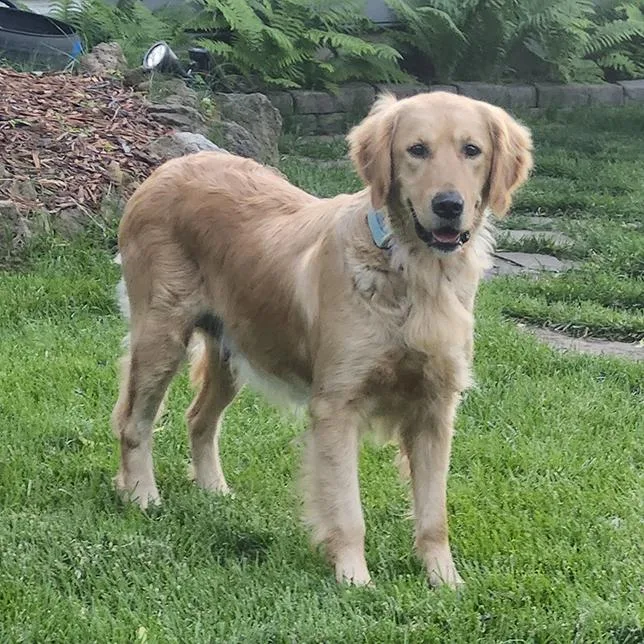 Ella