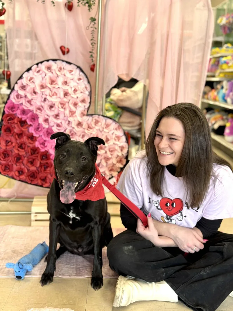 Griswold thumbnail 2