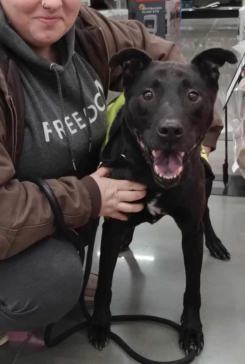 Griswold thumbnail 5