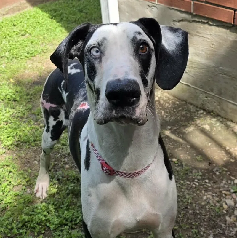 Magellan thumbnail 2