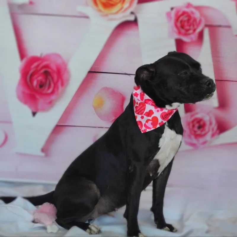 Skye Jum thumbnail 2