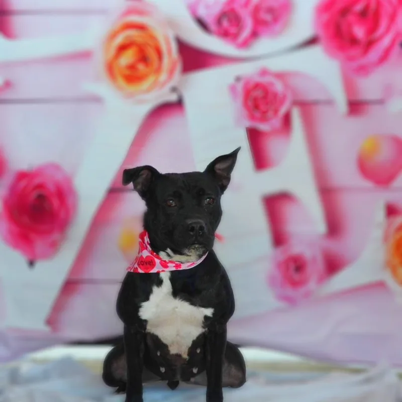 Skye Jum thumbnail 3