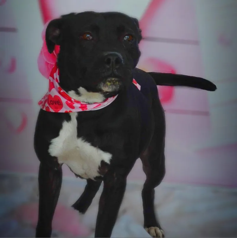 Skye Jum thumbnail 4